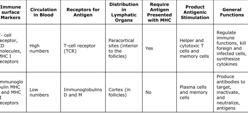 TABLE 15.1 Contrasting Properties of T Cells and B  Cells Site of  Maturation Immune surface  Markers Circulation 