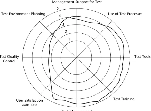 Figure 1-4 Example of a software testing organization using a test as a part of development.