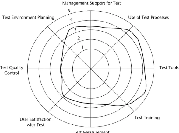 Figure 1-5 Example of a testing organization using, but not enforcing, the test process.