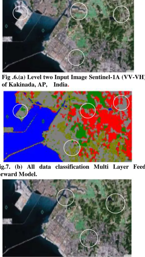 Fig .6.(a) Level two Input Image Sentinel-1A (VV-VH)  of Kakinada, AP,    India. 