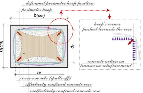 Fig -5 & 6: Transverse Reinforcement Configuration Influence (variation of legs number and hoops/ cross ties configuration) 