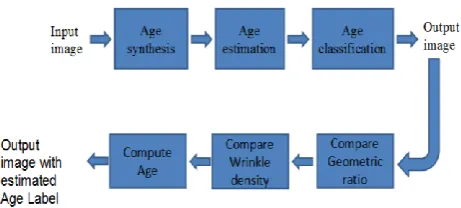 Fig. 1 Age Estimation Block Diagram. 