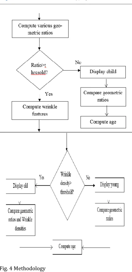 Fig. 4 Methodology 