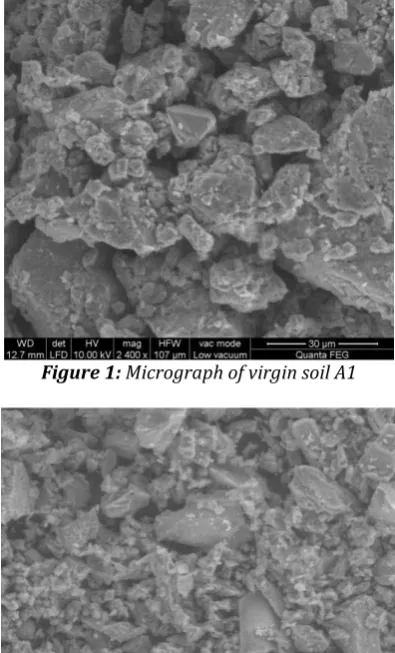 Figure 1: Micrograph of virgin soil A1  