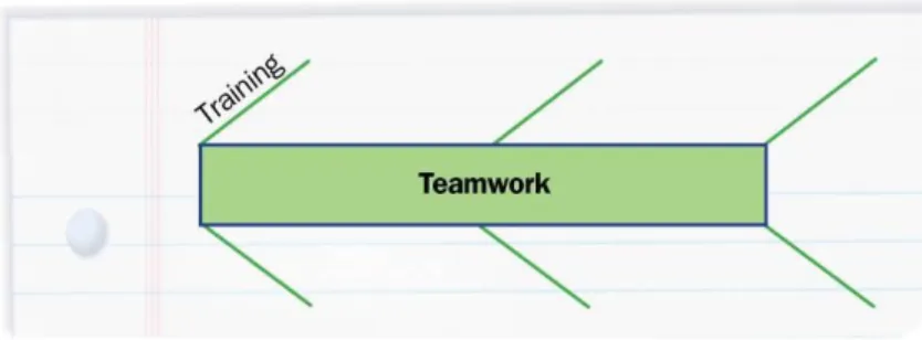Graphic Organizer