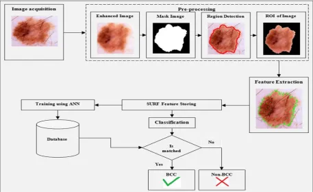 Fig. 7: Dataset Sample of Proposed Work  