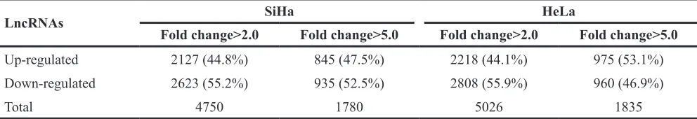 Table 1: Numbers of differentially expressed lncRNAs in SiHa and HeLa compared with C-33A