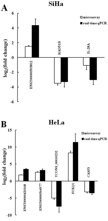 Figure 6: Comparison between microarray and real-time qPCR for differentially expressed lncRNAs and mRNAs in SiHa A