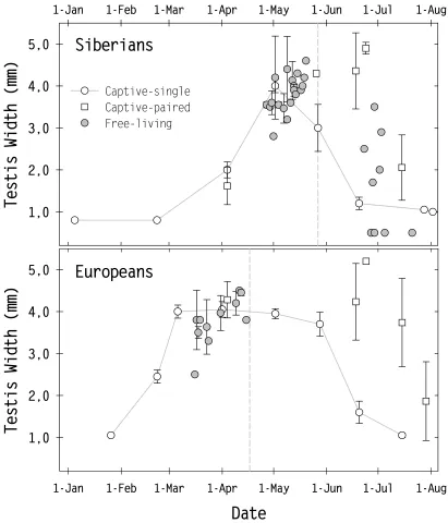 Fig. 4.3. The gonadal cycles of captive and free-living male Siberian and European stonechats (data shown as means ± SD)
