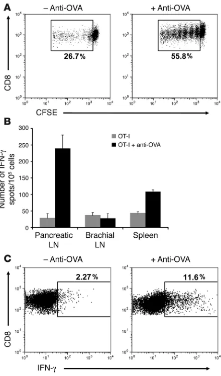 Figure 3Anti-OVA IgG enhances functional antigen presentation in the pan-