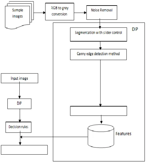 Fig. 2 CAD Diagnosis Process from Images 