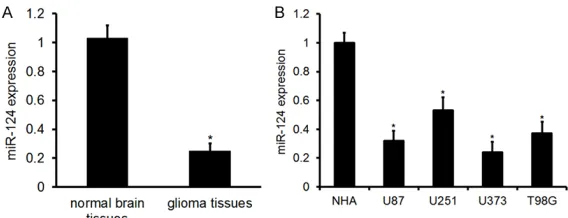 Figure 1. Expression of miR-124 in glioma tissues and cells. A. MiR-124 ex-pression in glioma tissues and normal brain tissues