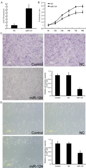 Figure 2. Effect of miR-124 in glioma cells on proliferation, invasion, and migration