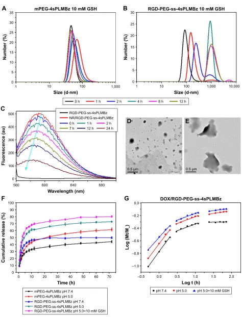 Figure 4 The size changes of (A) mPEG-4sPLMBz and (B) RGD-PEG-ss-4sPLMBz micelles in different concentrations of GSH solutions