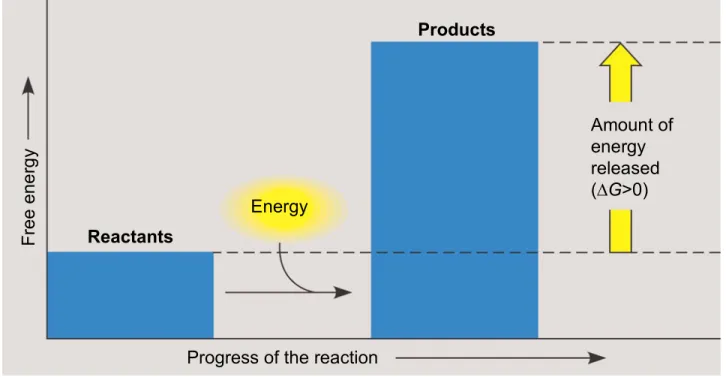 Figure 8.6  Energy Products Amount ofenergyreleased (∆G>0)Reactants