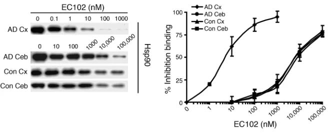 Figure 9Hsp90 expressed in affected tissue of AD brains has significantly increased binding affinity for EC102