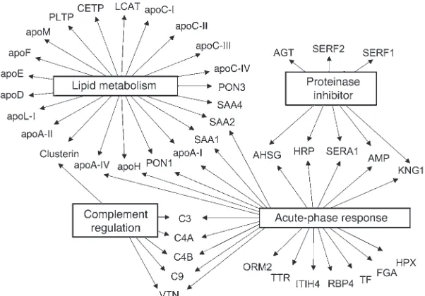 Figure 1Global view of biological processes and molecular functions of HDL proteins. Proteins in total HDL and HDL3 were identified using LC-ESI-MS/MS (Table 2)