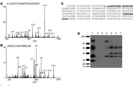Figure 2Mass spectrometric and immunological detection of C3 in HDL3. HDL3 or apoA-I complexes were isolated from plasma of control subjects