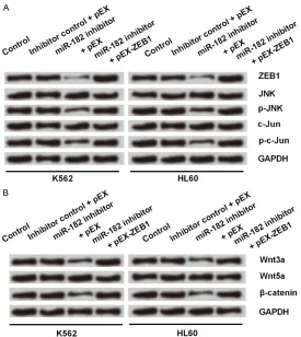 Figure 6A, overexpression of 