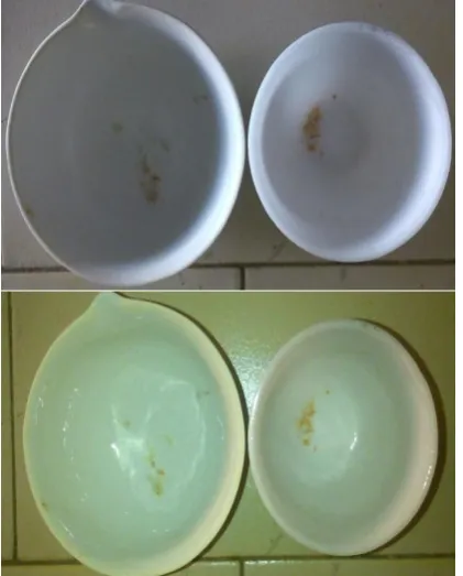 Figure 1:  Collected nail sample before ashing 