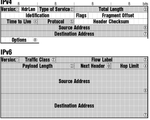 Figure 2-2  IPv4 and IPv6 Header Comparison 