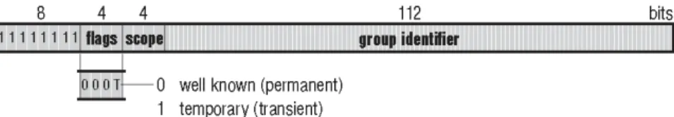 Figure 3-4  Structure of the IPv6 Multicast Address 