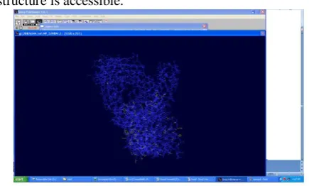 Figure 3 : The result of the model displayed using the spdb viewer 