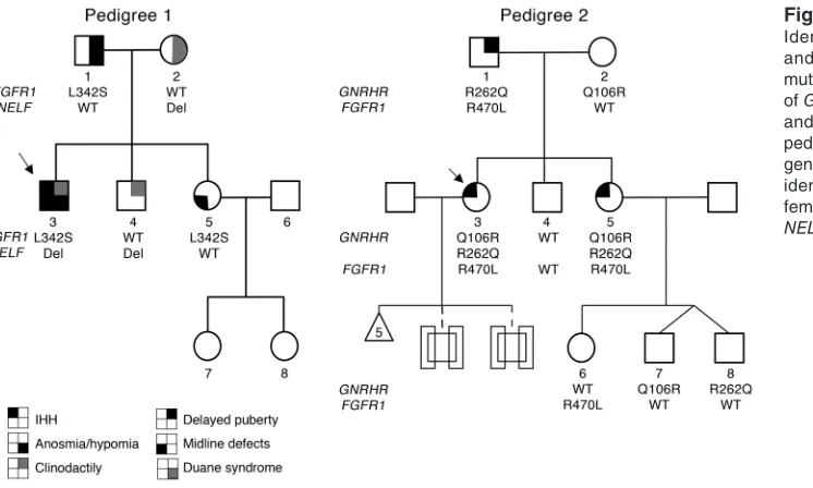 Figure 1Identification of FGFR1 (p.L342S) and NELF (8-bp intronic deletion) mutations in pedigree 1; identification of GNRHR [p.Q106R] and [p.R262Q] and FGFR1 (p.R470L) mutations in pedigree 2