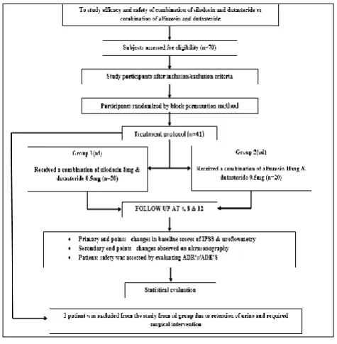 Figure 1: Study flow algorithm. 