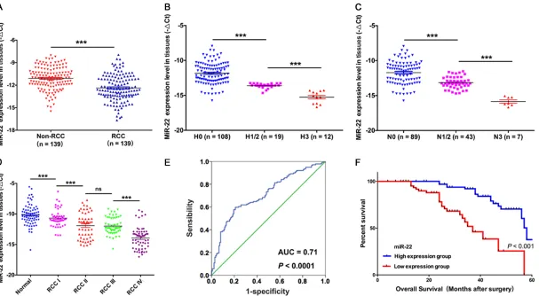 Figure 1. Expression of miR-22 in RCC tissues and clinicopathological significance of miR-22 in RCC patients