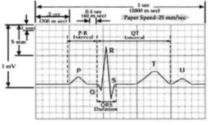 Fig 1: A Complete Cardiac Cycle 
