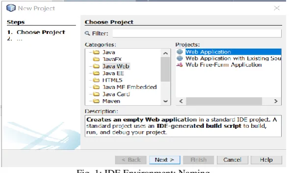Fig. 1: IDE Environment: Naming  Then we need to setup the Server, Select the Server as Apache Tomcat, as you select Tomcat server, you don’t need to mess 