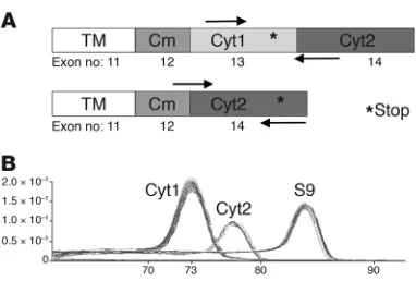 Figure 4qRT-PCR for the detection of CD46 cytoplasmic isoforms. (