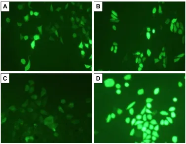 Figure 7 (Continued)