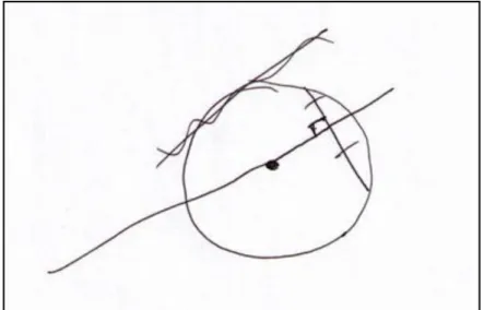 Figure 4.2: Michelle's sketch used in her explanation of statement two. 