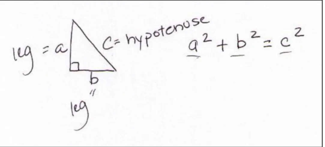 Figure 4.3: Michelle's right triangle used in her explanation of statement three. 