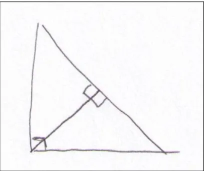 Figure 4.5: Michelle's right triangle used in her explanation of statement four. 