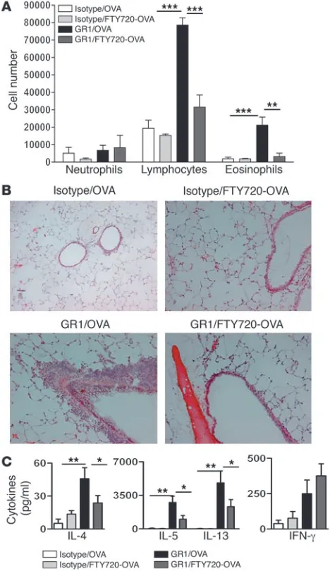 Figure 6Local administration of FTY720 prevents asthma development driv-