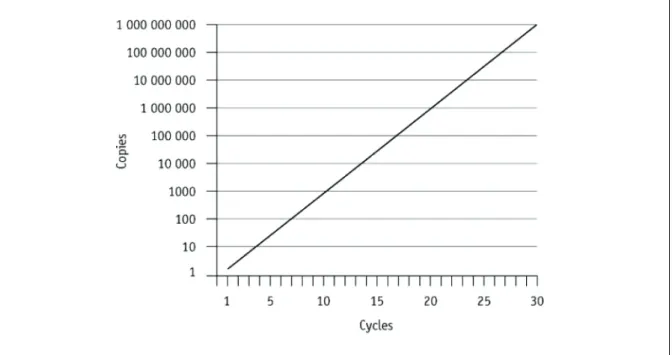 Figure 1 PCR: expected amplification graph. 