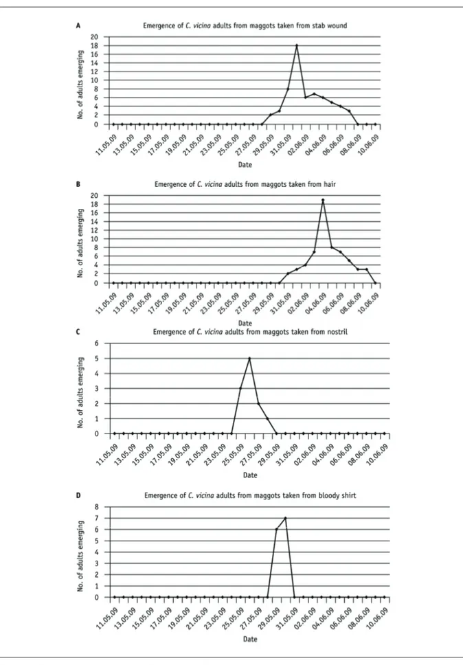 Figure 3 C. vicina emergence data. The maggots from the body and blood-stained shirt were incubated on liver  at the temperature calculated as the average for the period before the body was found