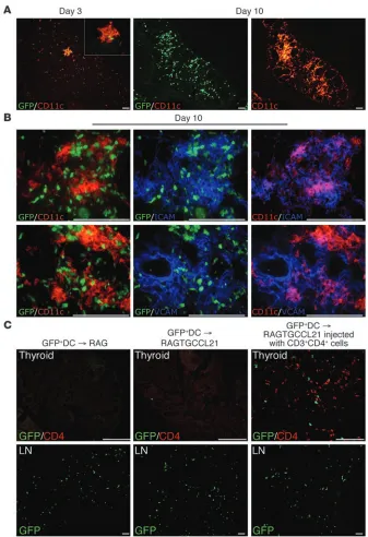 Figure 4CD3+CD4