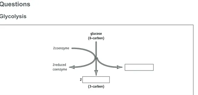 Figure 1 Glycolysis. The coenzyme is NAD. 