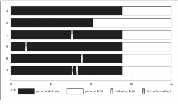 Figure 1 Different treatments of light and dark. 