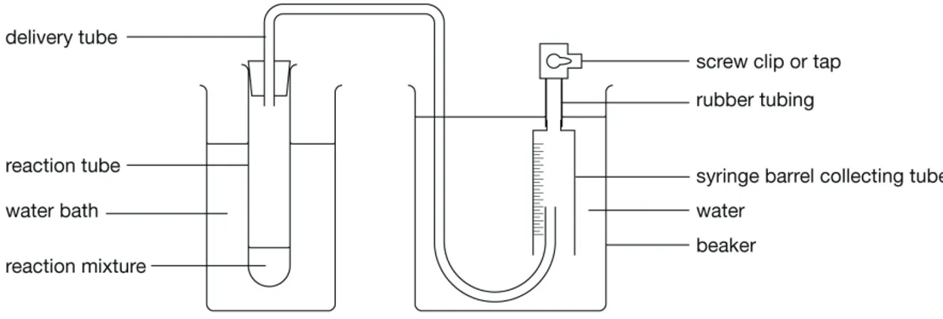 Figure 1 Apparatus for investigating catalase activity. 