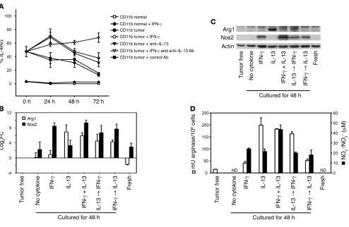 Figure 7IFN- and IL-13 cooperate in the activation of immunosuppressive pathways. (