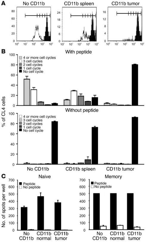 Figure 1MSCs inhibit antigen-induced T lymphocyte proliferation but not IFN-