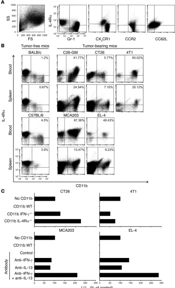 Figure 5Phenotypic characterization of 