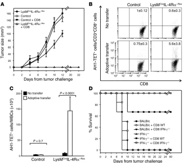 Figure 6Adoptive cell transfer is effective only in mice with a myeloid-restricted inactivation of IL-4R