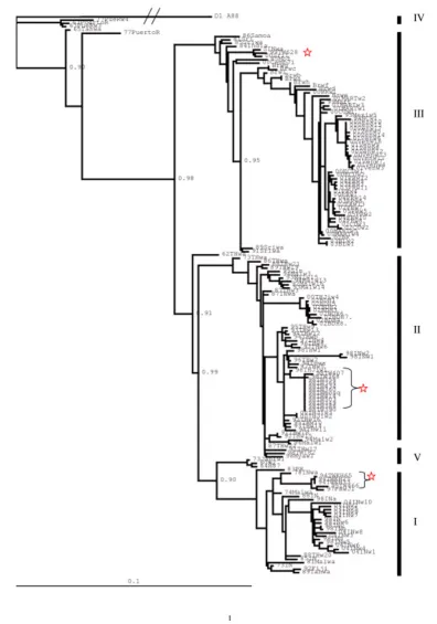 Figure 1complete E gene sequences (1479 bp) from the 168 DENV-3 strains sampled globallyThe Bayesian hierarchical consensus tree showing the phylogenetic relationships between DENV-3 genotypes is based on the 