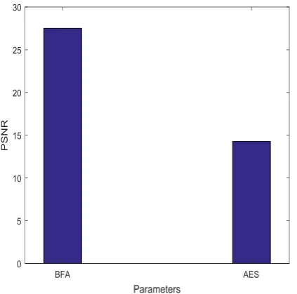 Fig 3: reconstruct image 